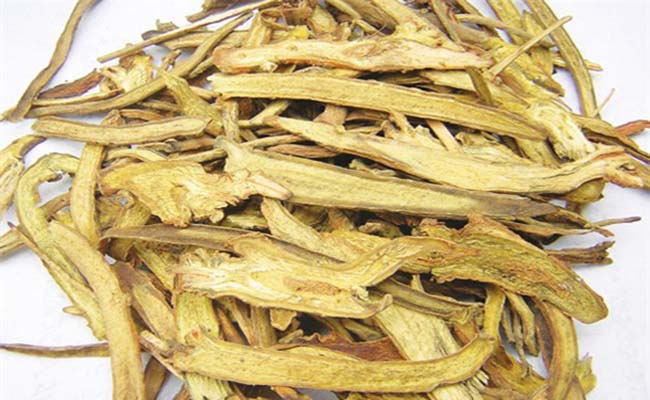 Hình ảnh vị thuốc hoàng bá