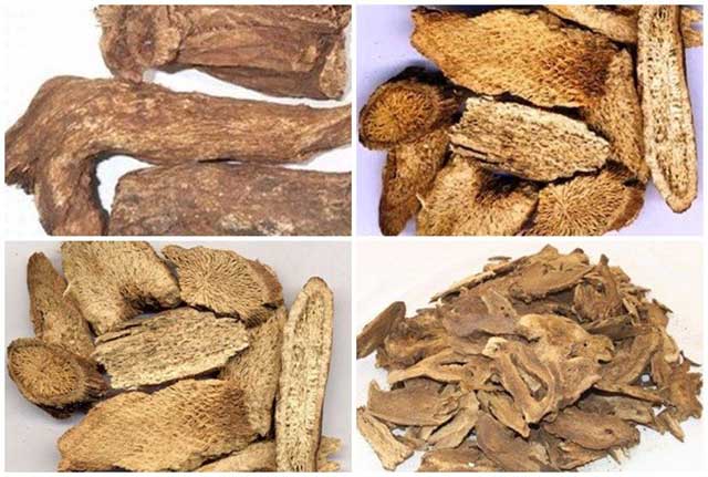 Vân mộc hương